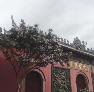 28圈：助力公益活动建设，实现经济效益与社会效益的双赢！