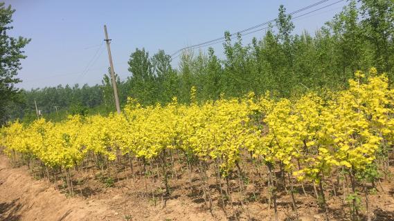 明光市市委书记被28圈企业文化深深感动 | 深入沟通合作空间广阔